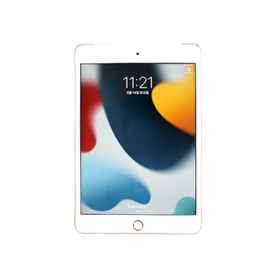 (중고) iPad mini 5세대 64GB Wi-Fi